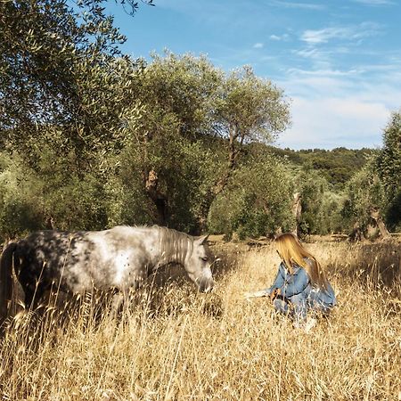 Casa Masseria Le Ville Peschici Kültér fotó