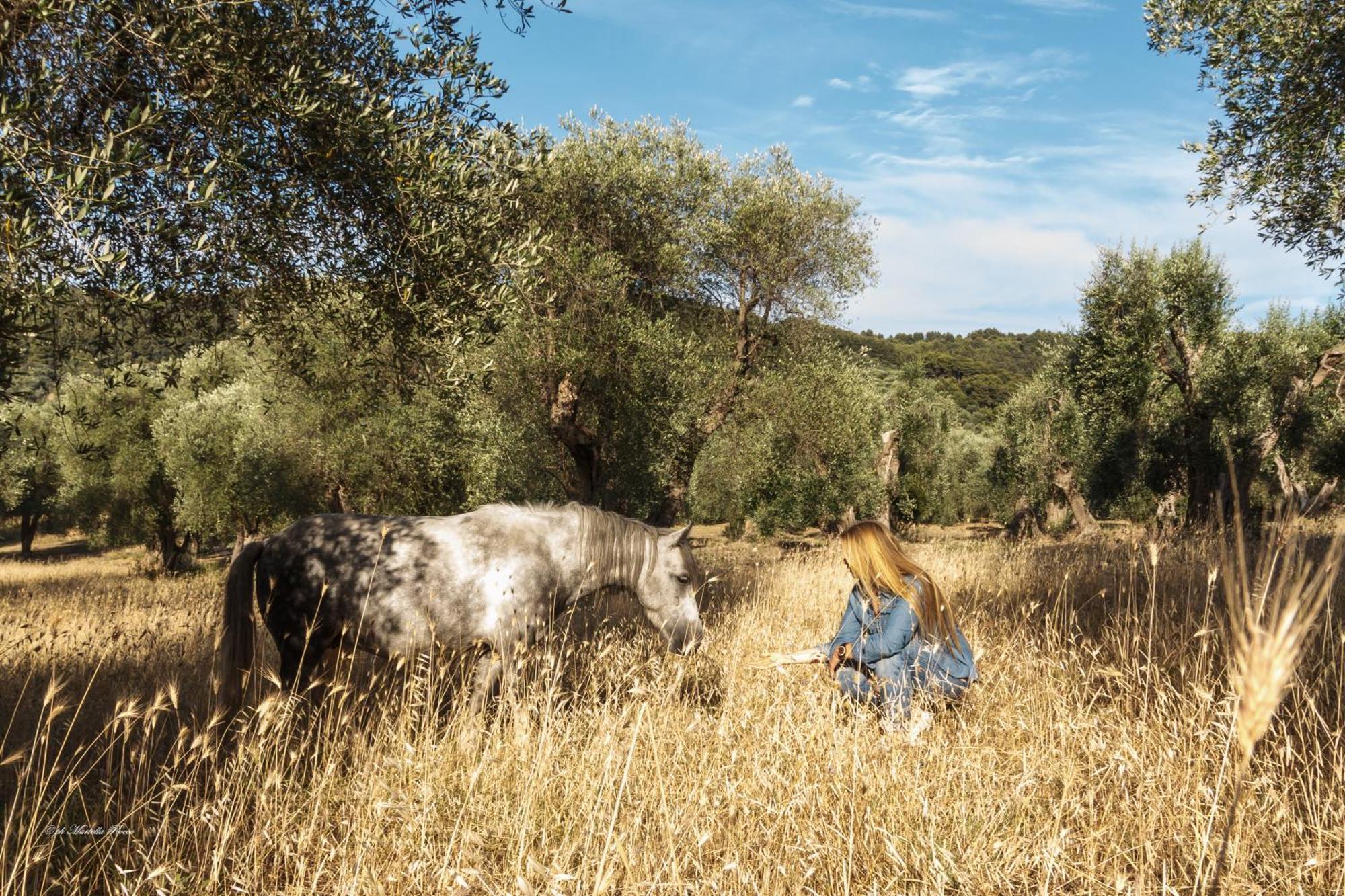 Casa Masseria Le Ville Peschici Kültér fotó